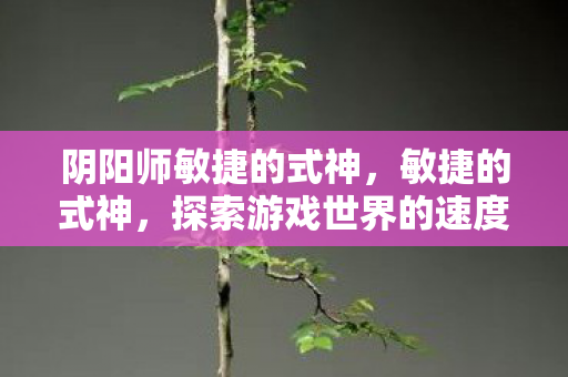 阴阳师敏捷的式神，敏捷的式神，探索游戏世界的速度与激情