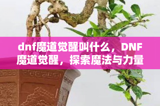 dnf魔道觉醒叫什么，DNF魔道觉醒，探索魔法与力量的奇妙之旅
