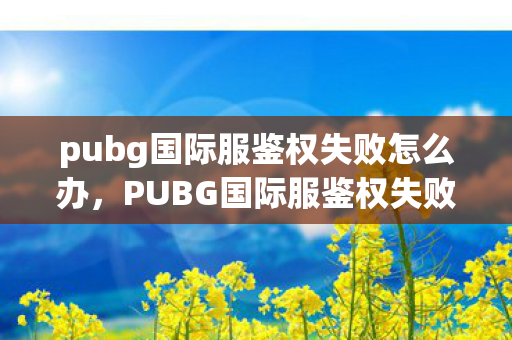 pubg国际服鉴权失败怎么办，PUBG国际服鉴权失败，解锁你的游戏之旅