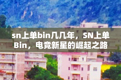 sn上单bin几几年，SN上单Bin，电竞新星的崛起之路