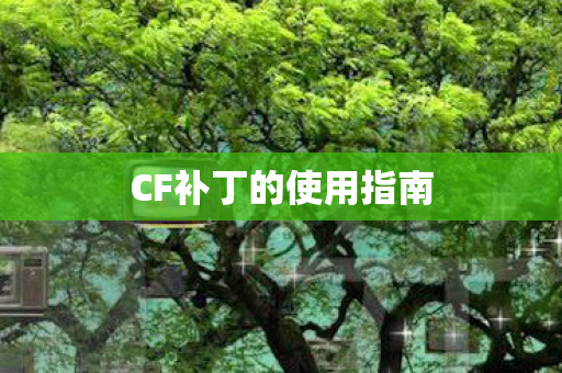 CF补丁的使用指南