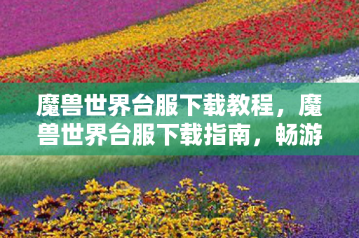 魔兽世界台服下载教程，魔兽世界台服下载指南，畅游经典世界的便捷途径