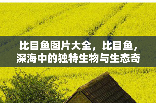 比目鱼图片大全，比目鱼，深海中的独特生物与生态奇观