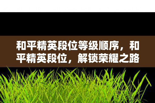 和平精英段位等级顺序，和平精英段位，解锁荣耀之路的必经之路