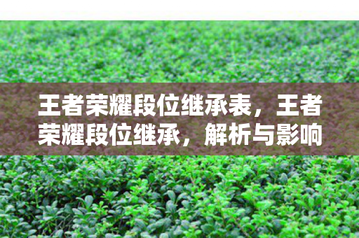王者荣耀段位继承表，王者荣耀段位继承，解析与影响