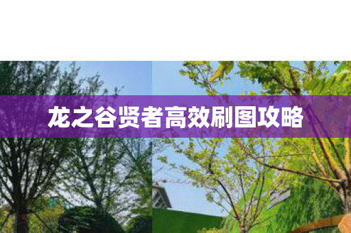 龙之谷贤者高效刷图攻略