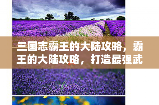 三国志霸王的大陆攻略，霸王的大陆攻略，打造最强武将阵容