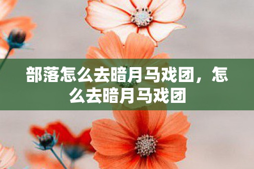 部落怎么去暗月马戏团，怎么去暗月马戏团
