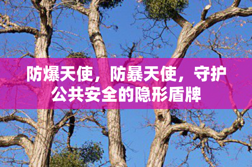 防爆天使，防暴天使，守护公共安全的隐形盾牌