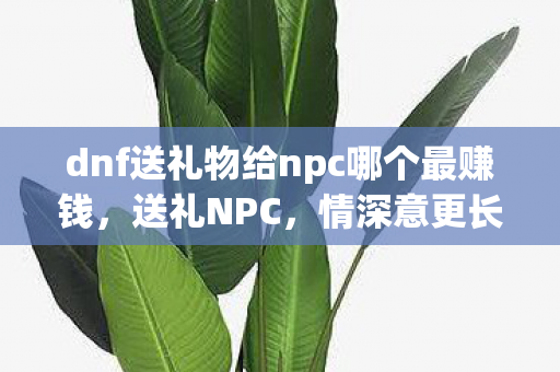 dnf送礼物给npc哪个最赚钱，送礼NPC，情深意更长