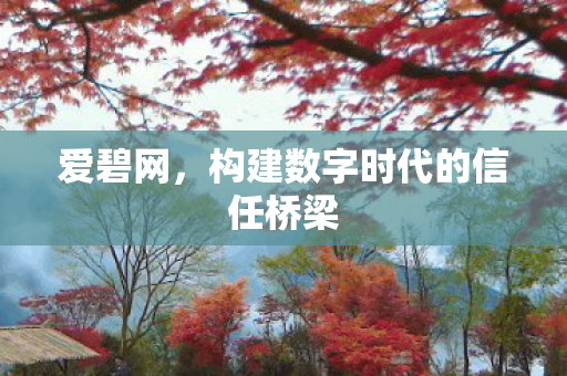 爱碧网,构建数字时代的信任桥梁 爱碧网,构建数字时代的信任桥梁