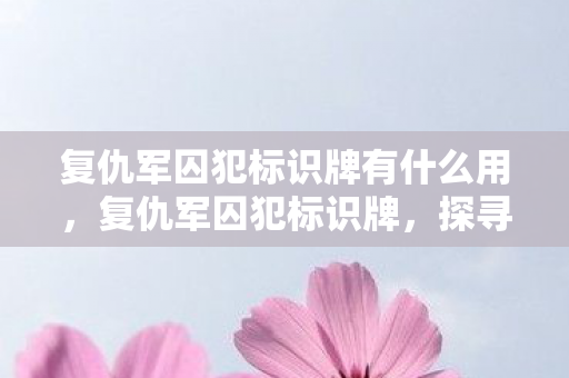 复仇军囚犯标识牌有什么用，复仇军囚犯标识牌，探寻游戏世界中的独特符号