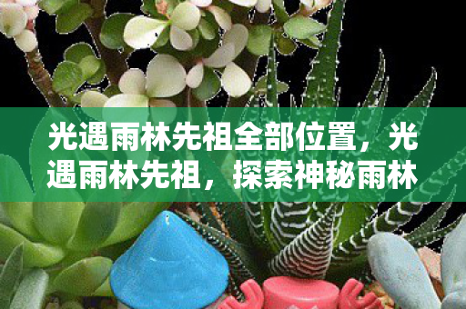 光遇雨林先祖全部位置，光遇雨林先祖，探索神秘雨林的奇妙之旅