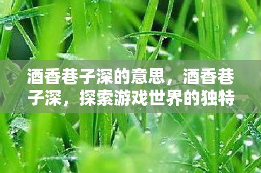 酒香巷子深的意思，酒香巷子深，探索游戏世界的独特魅力