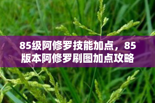 85级阿修罗技能加点，85版本阿修罗刷图加点攻略