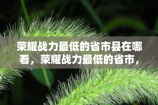 荣耀战力最低的省市县在哪看，荣耀战力最低的省市，探寻游戏竞技的冷门之地