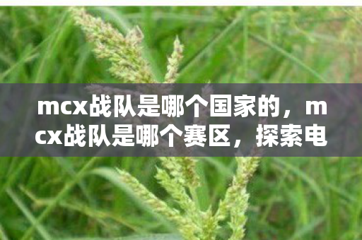 mcx战队是哪个国家的，mcx战队是哪个赛区，探索电竞新势力的崛起之路