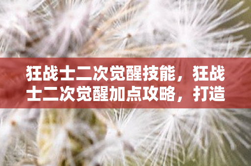 狂战士二次觉醒技能，狂战士二次觉醒加点攻略，打造最强战斗力的关键
