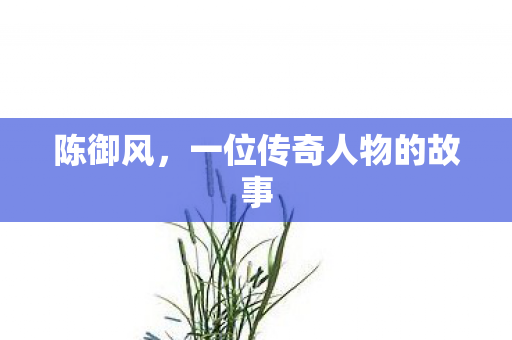 陈御风，一位传奇人物的故事