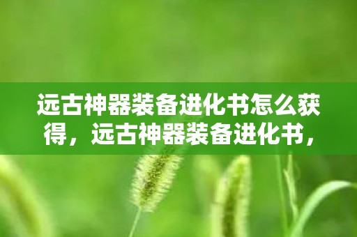 远古神器装备进化书怎么获得，远古神器装备进化书，探寻游戏装备进化的奥秘