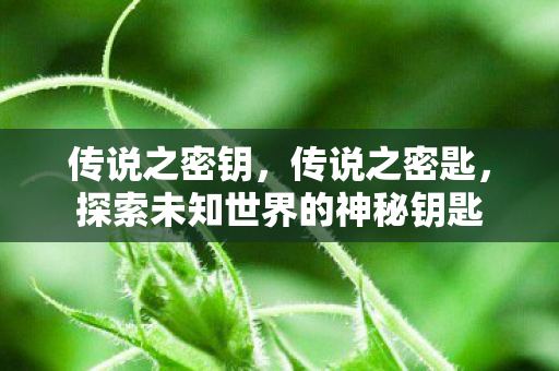 传说之密钥，传说之密匙，探索未知世界的神秘钥匙