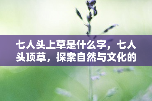 七人头上草是什么字，七人头顶草，探索自然与文化的奇妙融合