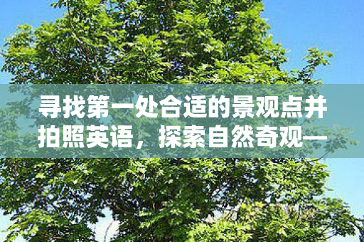 寻找第一处合适的景观点并拍照英语，探索自然奇观—记一次难忘的徒步之旅