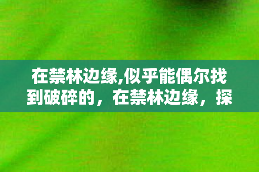 在禁林边缘,似乎能偶尔找到破碎的，在禁林边缘，探索古老传说的碎片