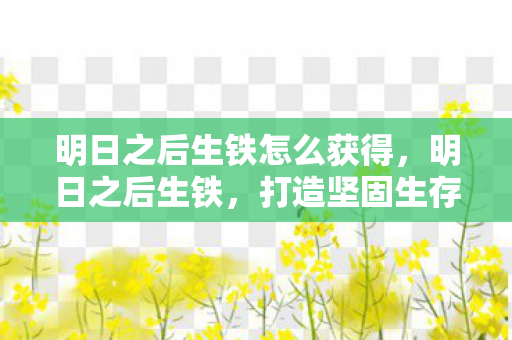 明日之后生铁怎么获得，明日之后生铁，打造坚固生存之路