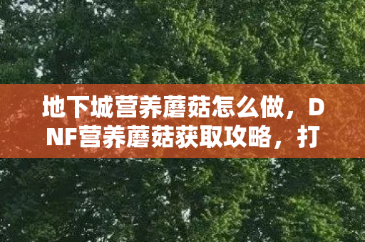 地下城营养蘑菇怎么做，DNF营养蘑菇获取攻略，打造你的地下城之旅