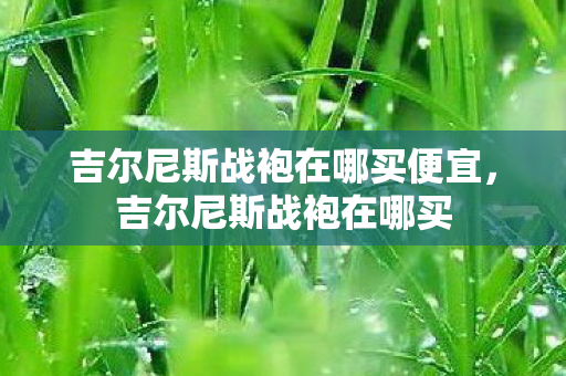 吉尔尼斯战袍在哪买便宜，吉尔尼斯战袍在哪买