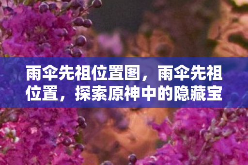 雨伞先祖位置图，雨伞先祖位置，探索原神中的隐藏宝藏