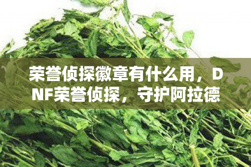 荣誉侦探徽章有什么用，DNF荣誉侦探，守护阿拉德大陆的正义之眼