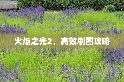 火炬之光2,高效刷图攻略 火炬之光2,高效刷图攻略