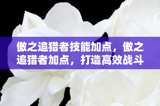 傲之追猎者技能加点，傲之追猎者加点，打造高效战斗力的关键