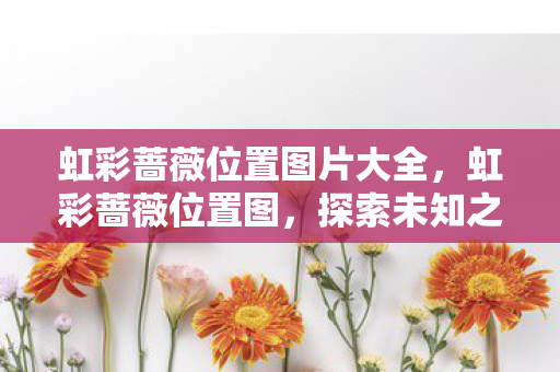 虹彩蔷薇位置图片大全，虹彩蔷薇位置图，探索未知之美的神秘之旅