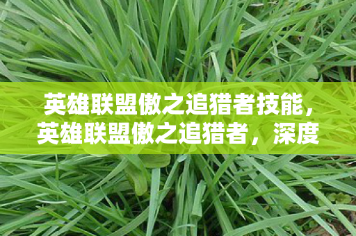 英雄联盟傲之追猎者技能，英雄联盟傲之追猎者，深度解析雷恩加尔的成长之路