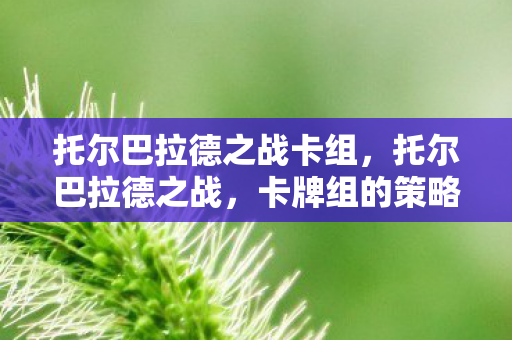 托尔巴拉德之战卡组，托尔巴拉德之战，卡牌组的策略与魅力