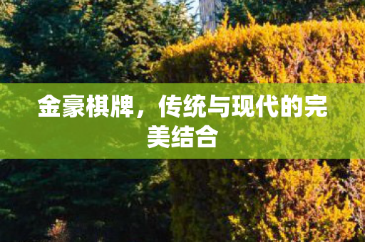 金豪棋牌,传统与现代的完美结合 金豪棋牌,传统与现代的完美结合