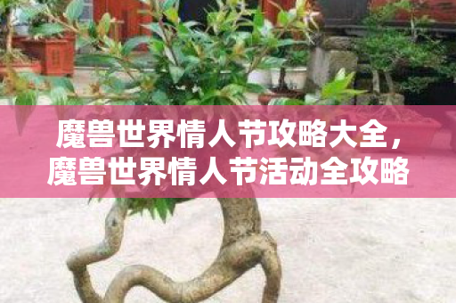 魔兽世界情人节攻略大全，魔兽世界情人节活动全攻略，浪漫之旅，甜蜜挑战