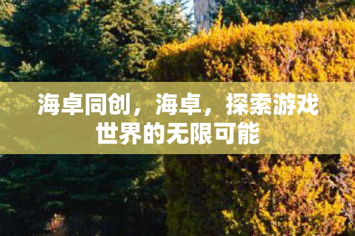 海卓同创，海卓，探索游戏世界的无限可能