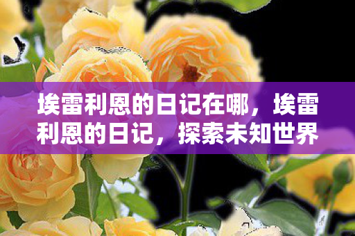 埃雷利恩的日记在哪，埃雷利恩的日记，探索未知世界的奇妙旅程