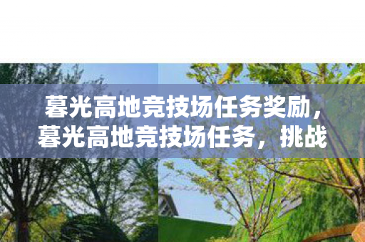 暮光高地竞技场任务奖励，暮光高地竞技场任务，挑战与荣耀的交织