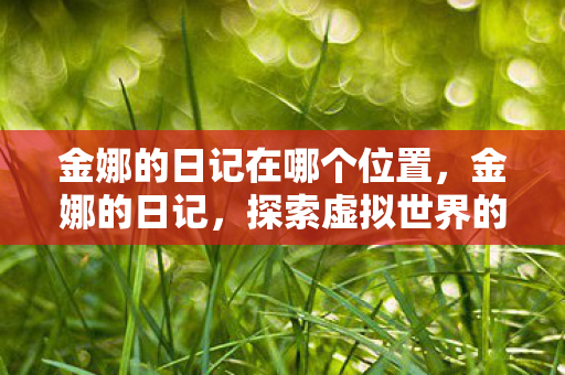 金娜的日记在哪个位置，金娜的日记，探索虚拟世界的奇妙之旅