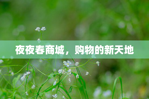 夜夜春商城，购物的新天地