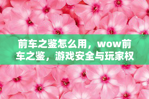 前车之鉴怎么用，wow前车之鉴，游戏安全与玩家权益的警钟