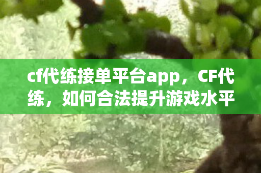 cf代练接单平台app，CF代练，如何合法提升游戏水平？