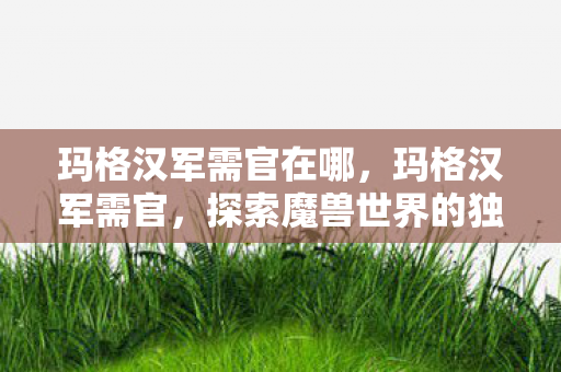 玛格汉军需官在哪，玛格汉军需官，探索魔兽世界的独特角色