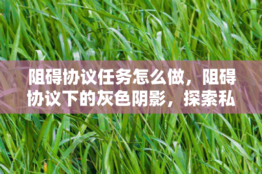阻碍协议任务怎么做，阻碍协议下的灰色阴影，探索私服背后的隐秘世界