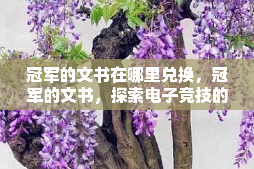 冠军的文书在哪里兑换，冠军的文书，探索电子竞技的荣耀之路